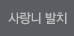 사랑니 발치